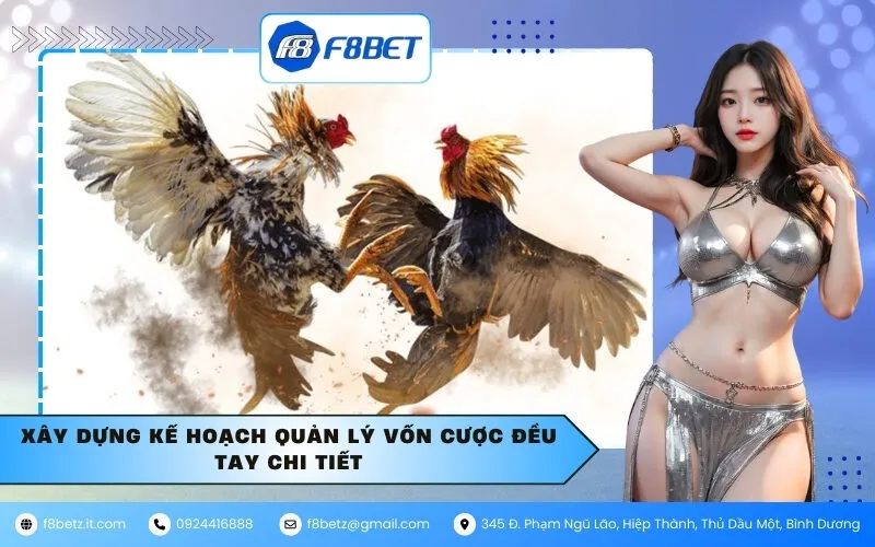 Xây dựng kế hoạch quản lý vốn cược đều tay chi tiết